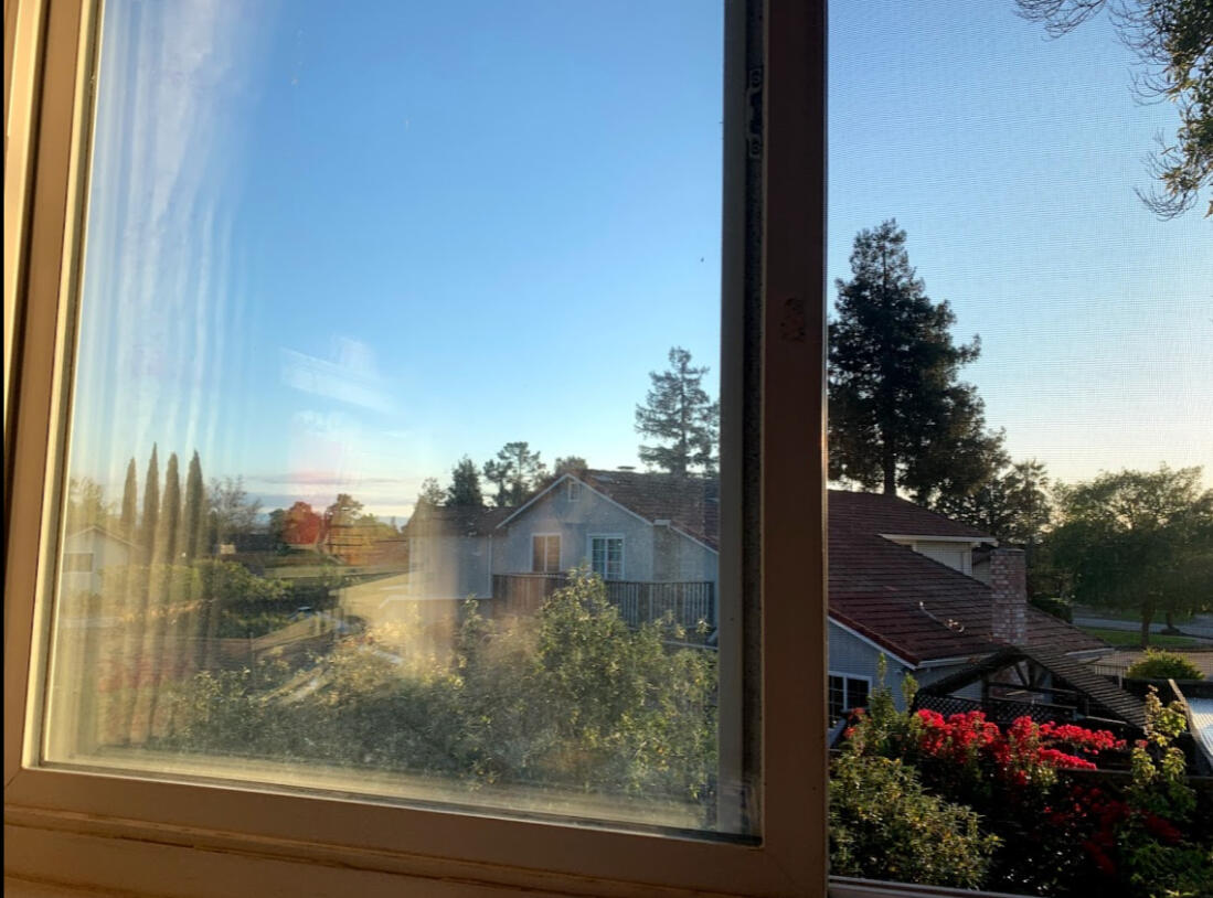 Golden hour, from my bedroom window