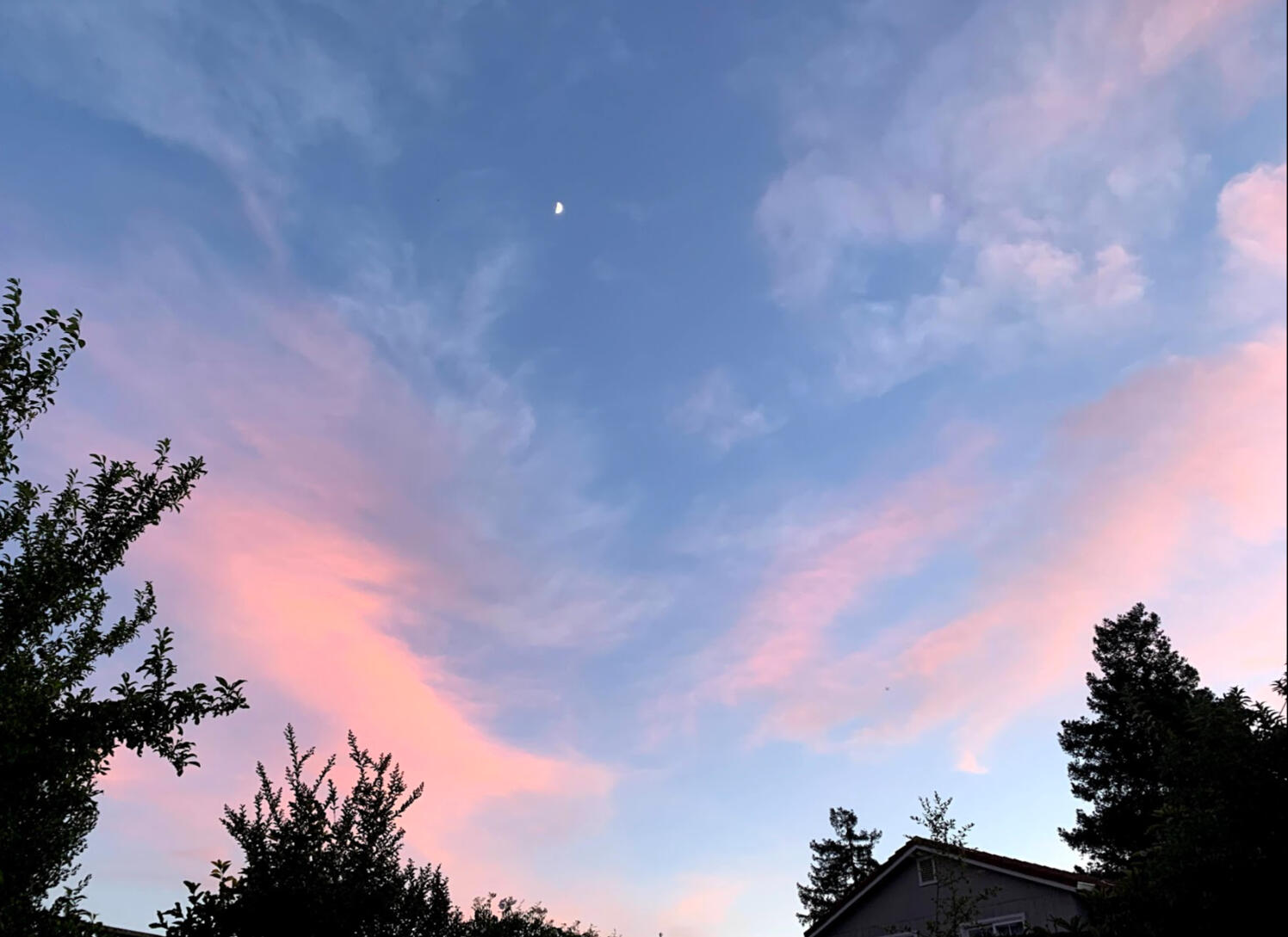 The moon amidst a pink and blue sky