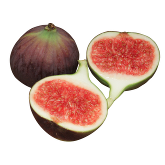 3 figs